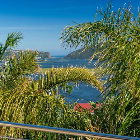 Guest House The Lazy Lion 克尼斯纳 外观 照片